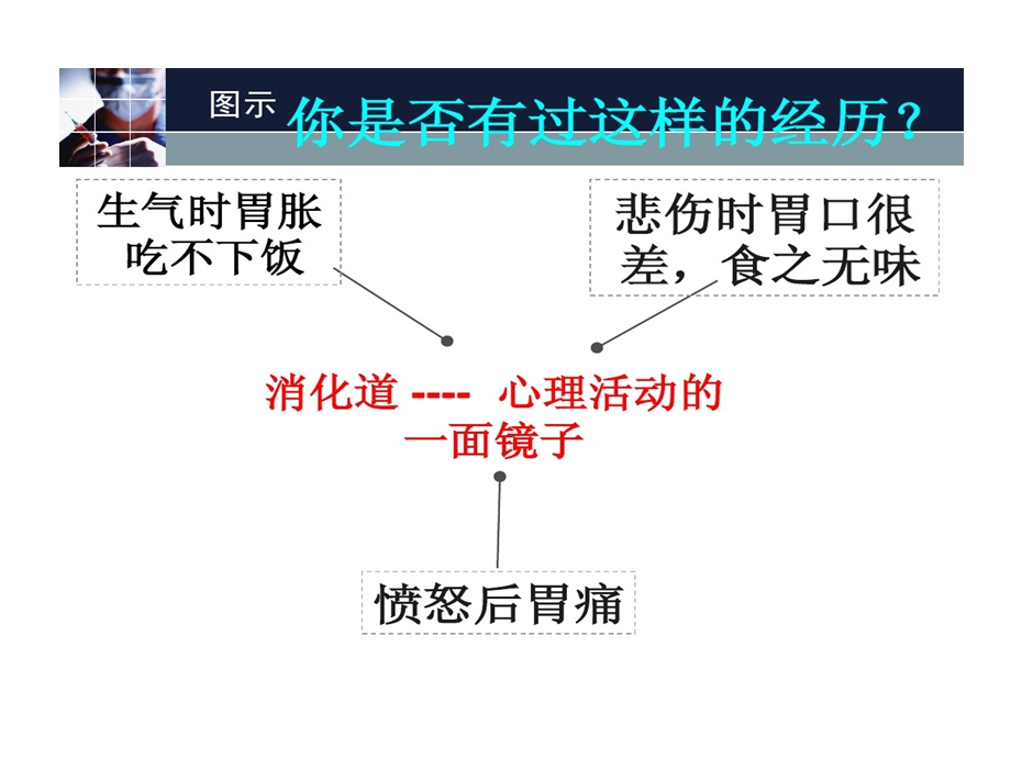 情绪和消化系统课件.ppt_第2页