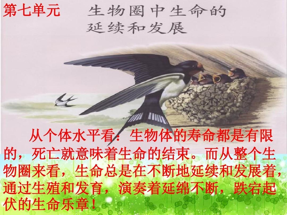 月季的扦插生物综合实践课课件.ppt_第2页