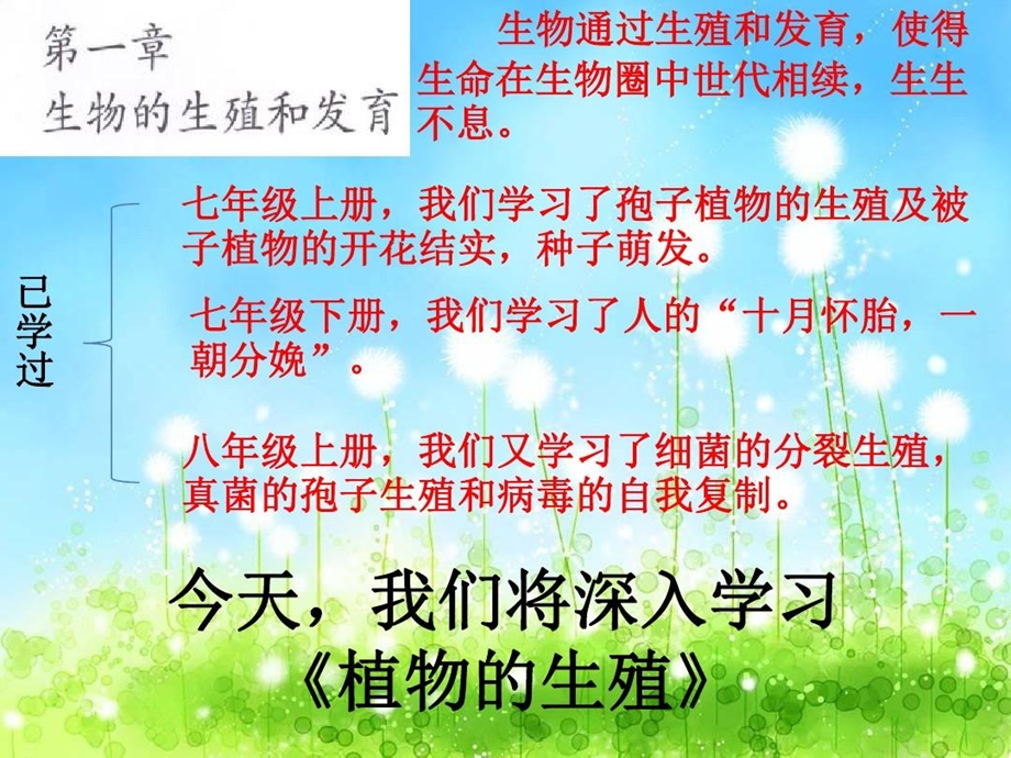 月季的扦插生物综合实践课课件.ppt_第3页