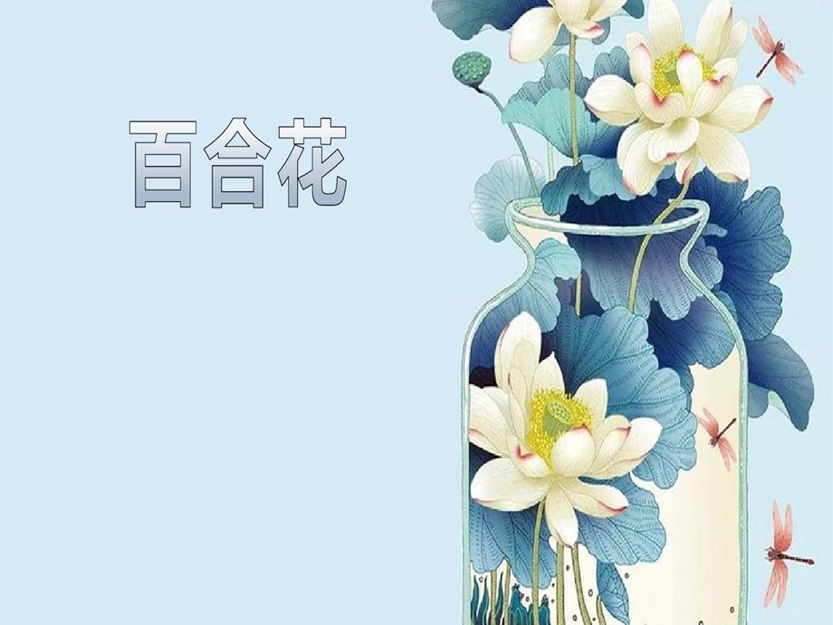 百合花教学设计课件.ppt_第1页