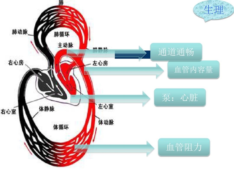 循环支持液体与血管活性药物课件.ppt_第3页