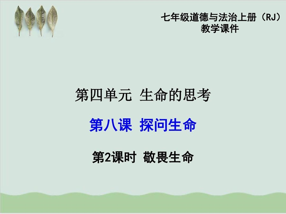 探问生命人教版课件.ppt_第1页