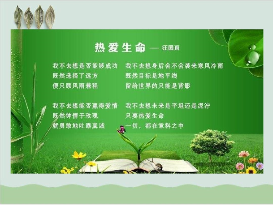 探问生命人教版课件.ppt_第3页