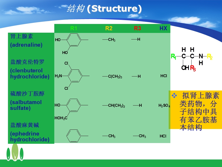 硫酸沙丁胺醇salbutamolsulfate盐酸麻黄碱课件.ppt_第2页