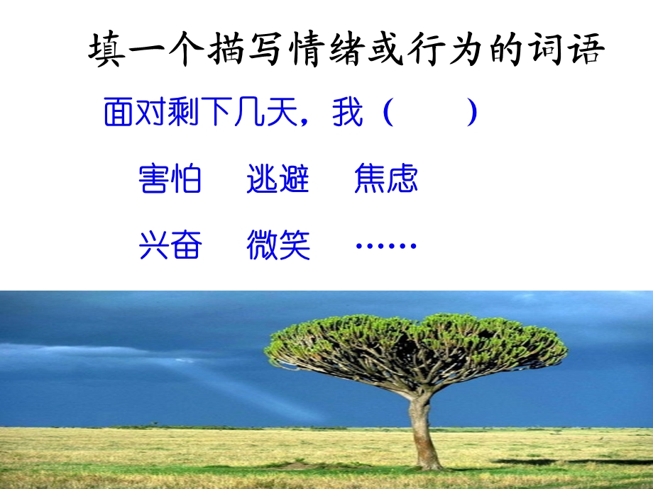 年轻的战场-主题班会课件.ppt_第2页