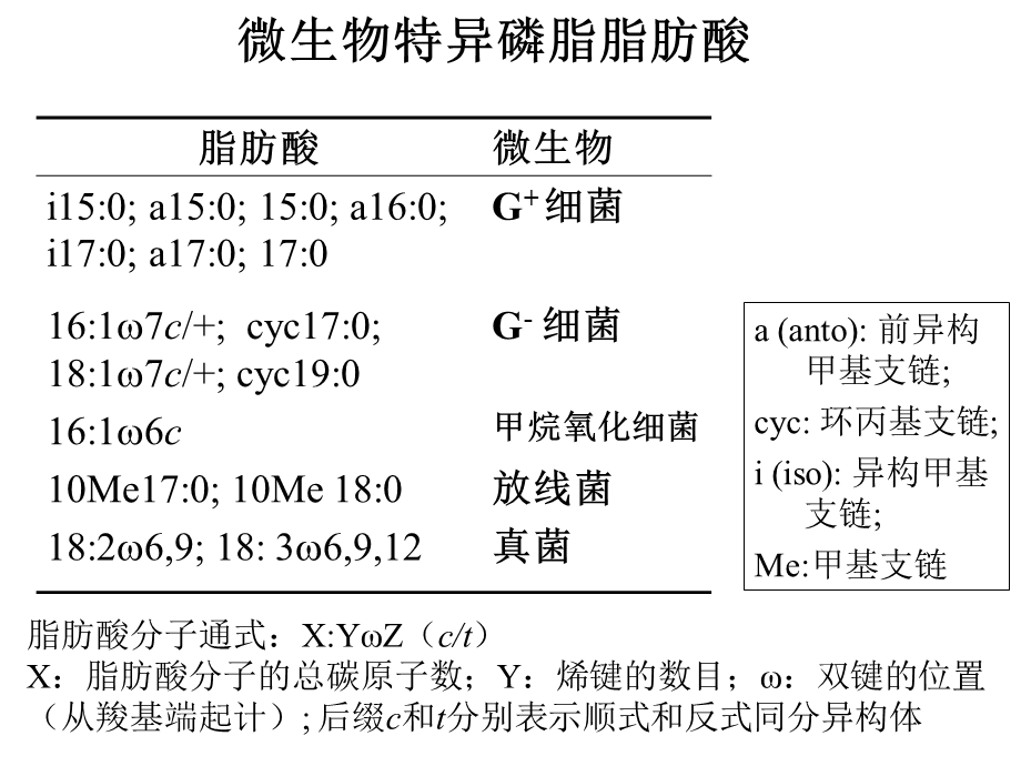 微生物群落结构分析方法根据微生物利用碳源特性课件.ppt_第3页