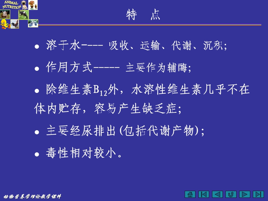 动物营养学第三节水溶性维生素课件.ppt_第2页