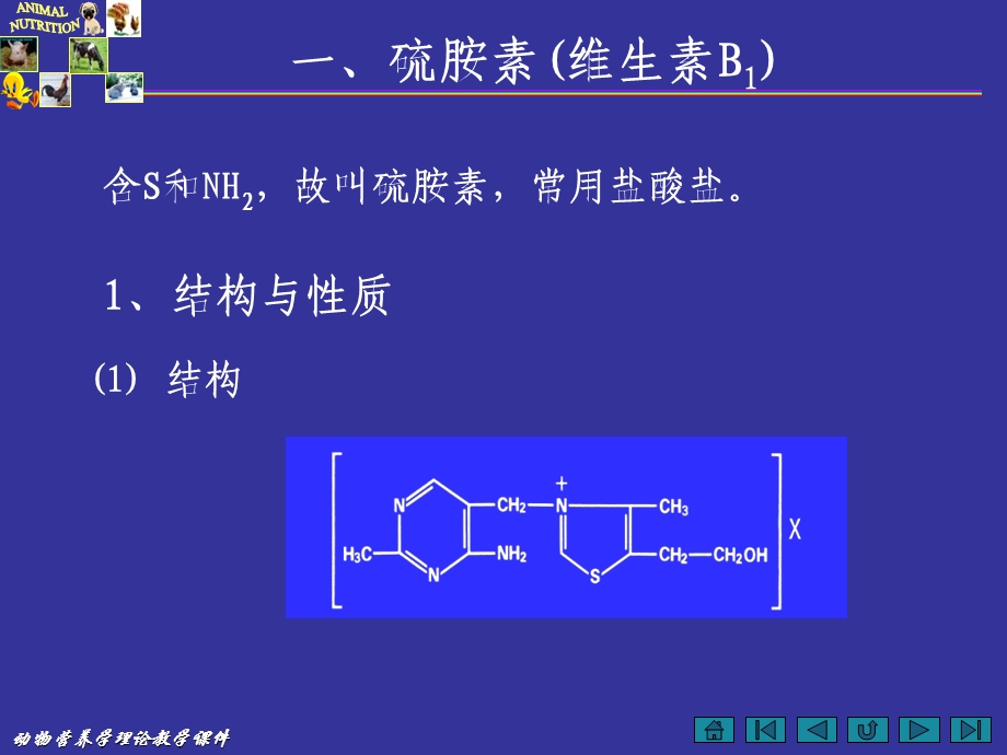 动物营养学第三节水溶性维生素课件.ppt_第3页