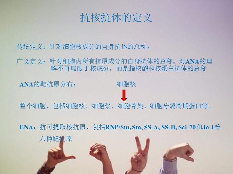 抗核抗体ANA检测与临床应用-课件.ppt_第3页