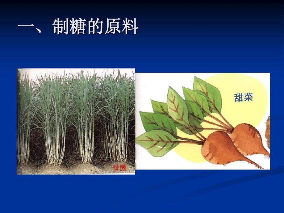 白砂糖制作工艺课件.ppt_第3页