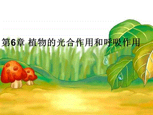 植物的光合作用和呼吸作用-课件-苏教版.ppt