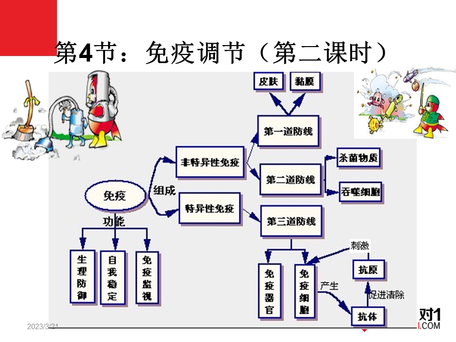 必修3-稳态与环境2.4免疫调节(第二课时)课件.ppt_第1页