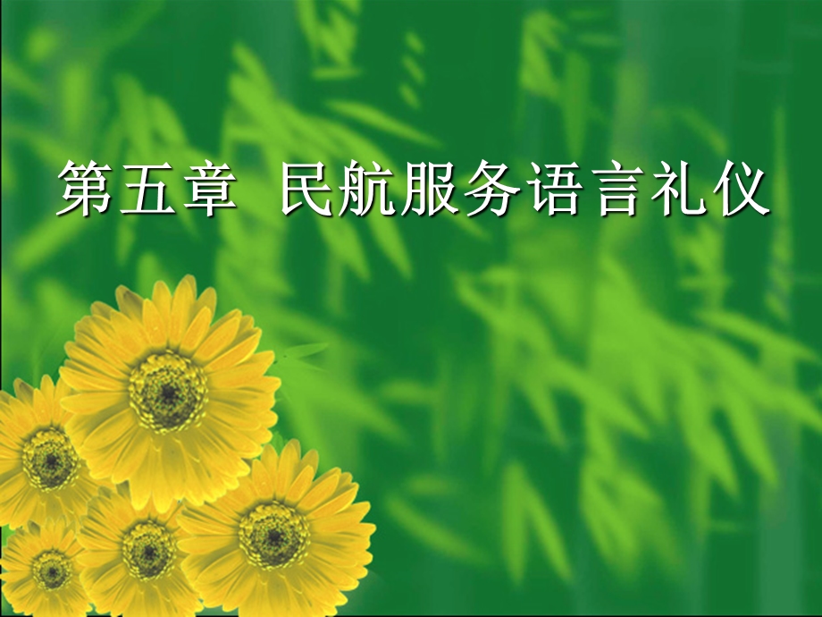 民航服务礼仪第05章课件.ppt_第1页