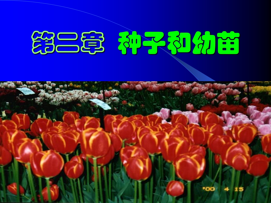 植物学03种子和幼苗01结构课件.ppt_第1页