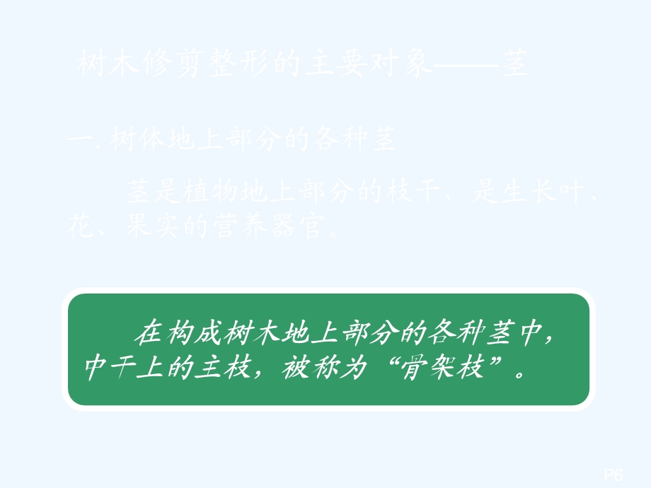 果树整形修剪技术课件.ppt_第2页