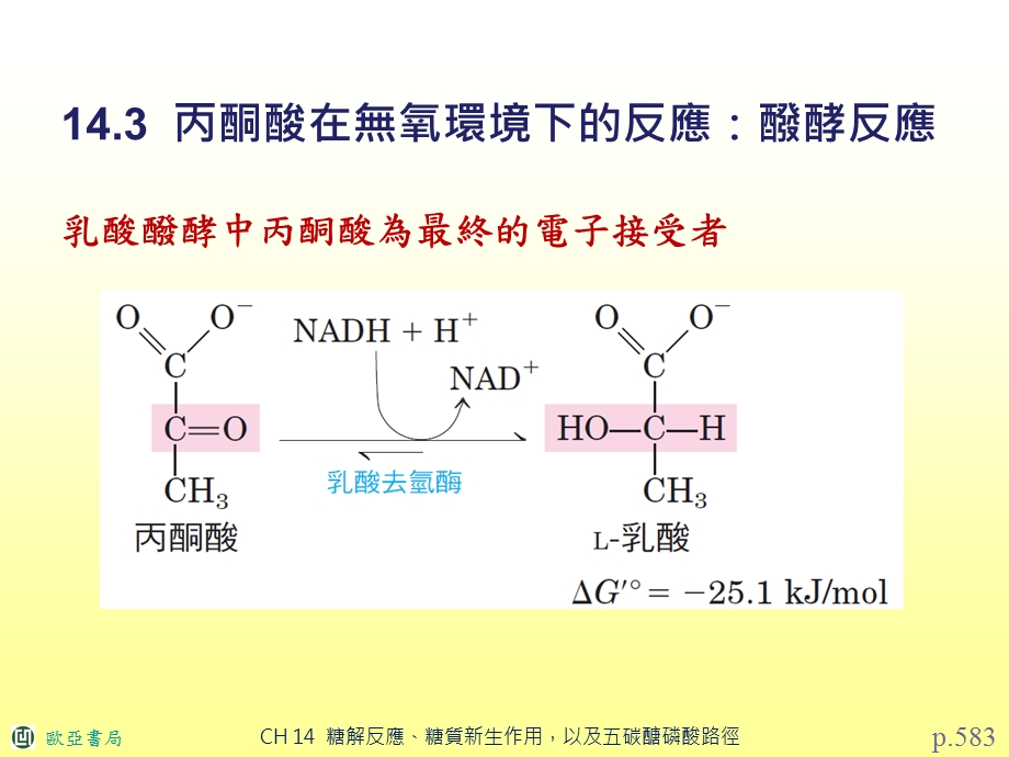 氧化阶段产生五碳醣磷酸和NADPH课件.ppt_第1页
