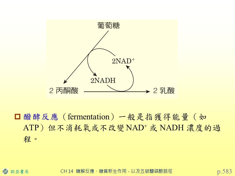 氧化阶段产生五碳醣磷酸和NADPH课件.ppt_第2页