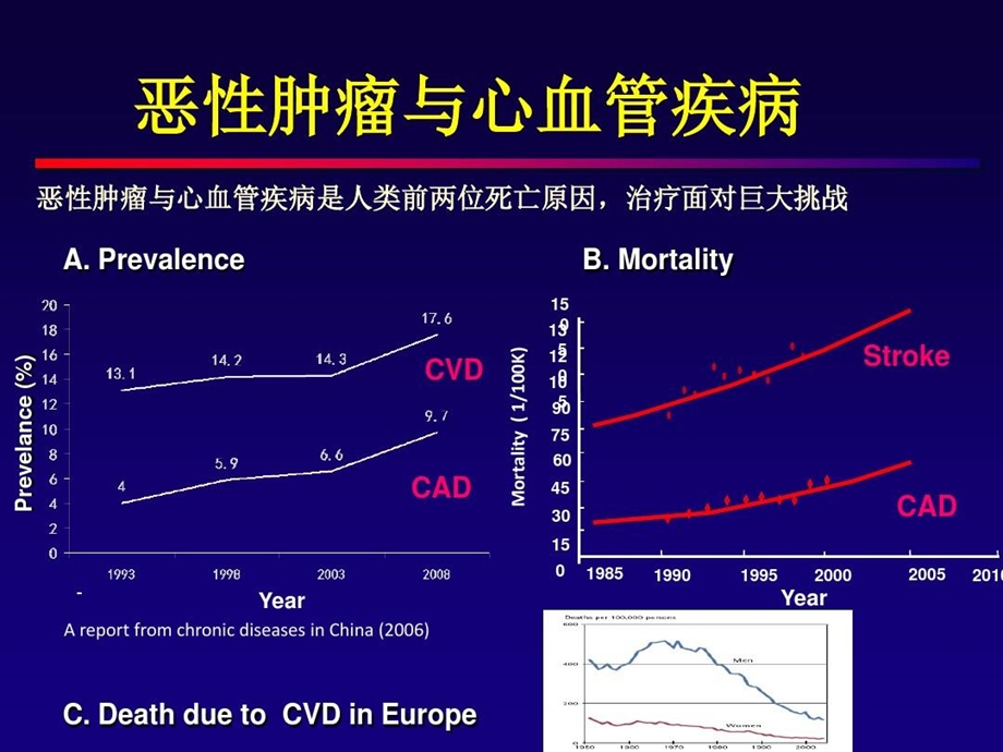 抗肿瘤药物的心脏毒性课件.ppt_第3页