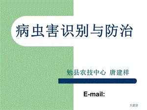 病虫害识别与防治课件.ppt