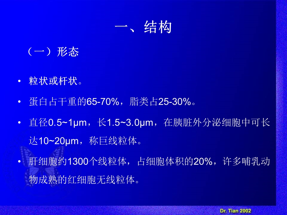 生物竞赛ppt课件线粒体与叶绿体.ppt_第2页