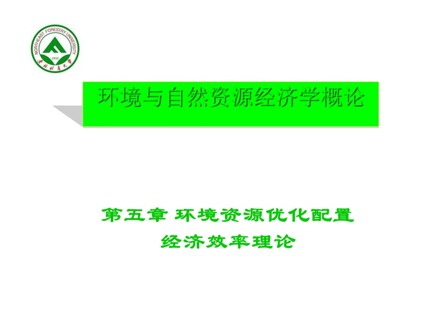 环境资源优化配置课件.ppt_第1页