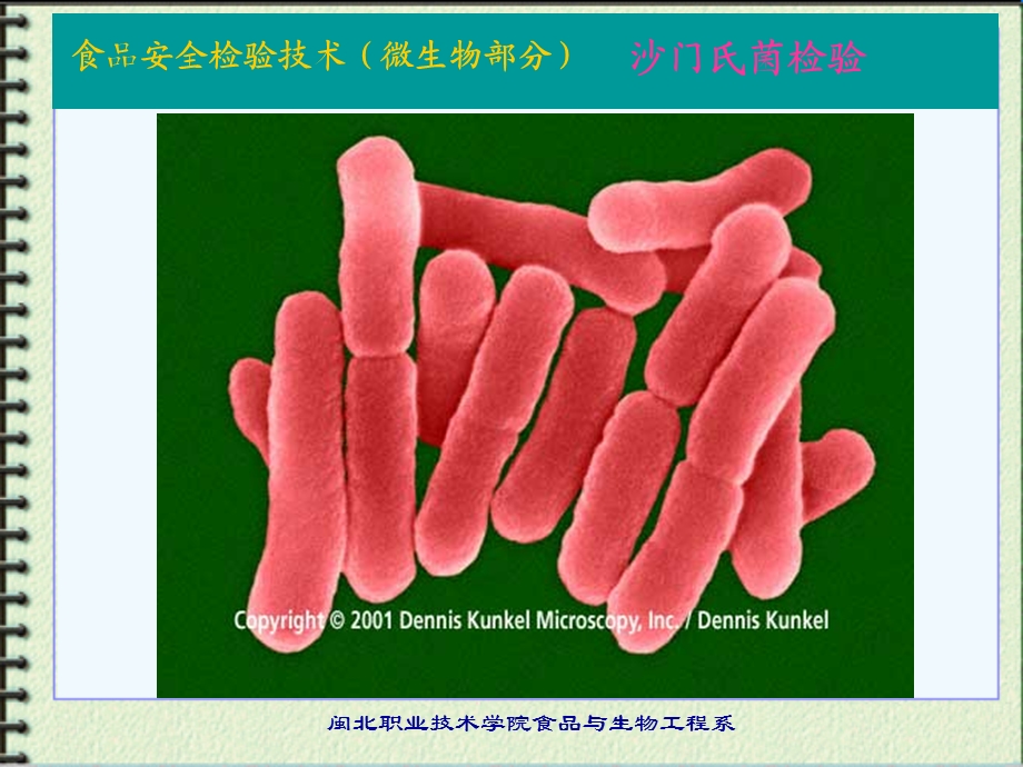 微生物部分沙门菌属Salmonella课件.ppt_第1页