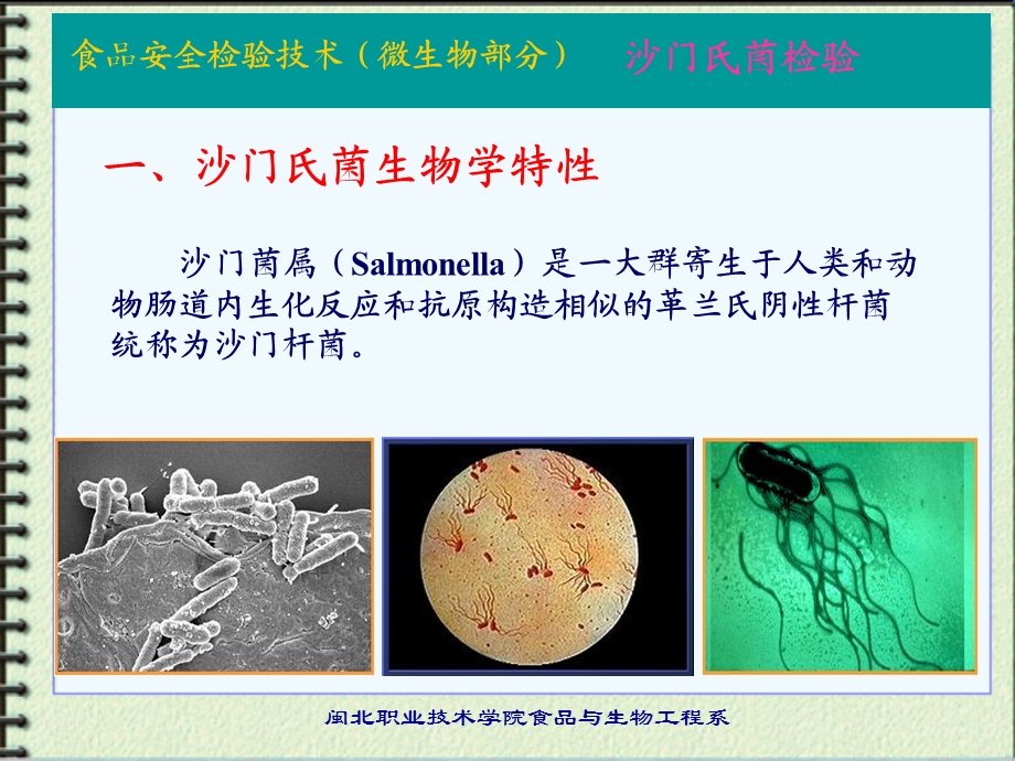 微生物部分沙门菌属Salmonella课件.ppt_第2页