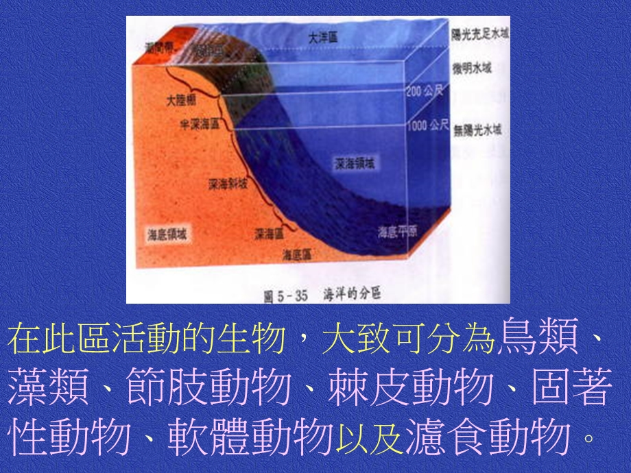 生物part1潮间带生态系课件.ppt_第3页