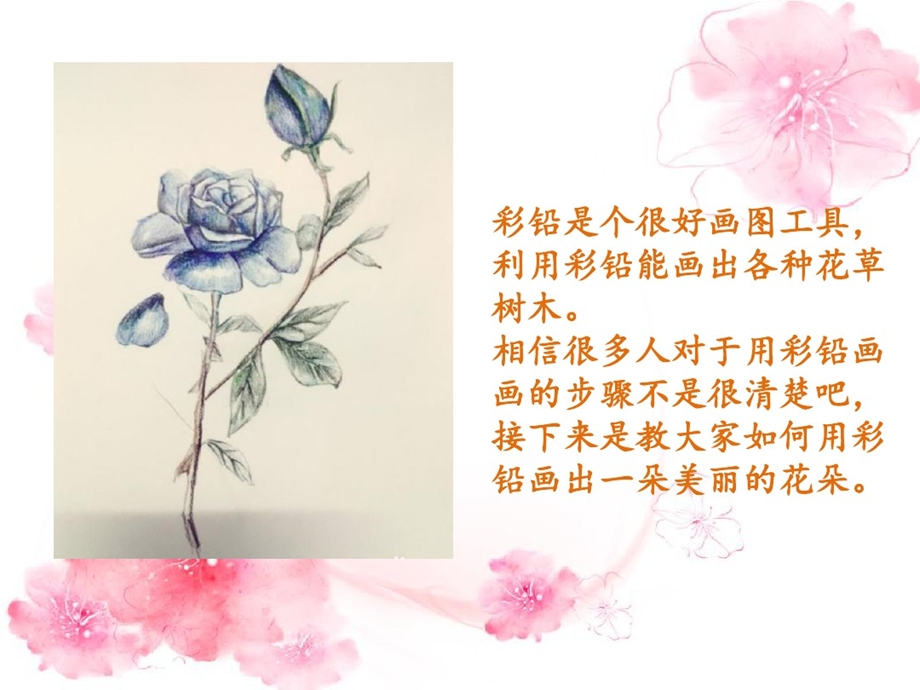 彩铅花草教程之蓝玫瑰课件.ppt_第2页