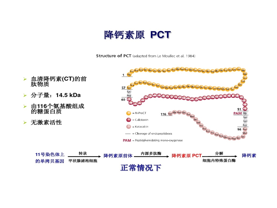 炎性指标与临床意义课件.ppt_第2页