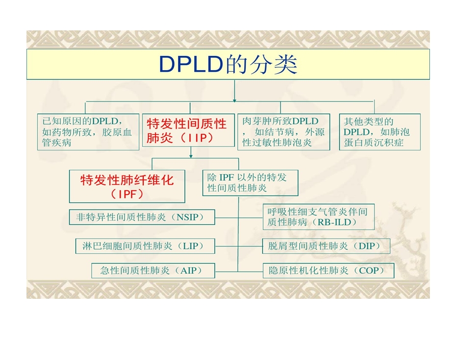 特发性肺纤维化课件.ppt_第3页