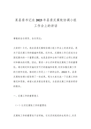 某县委书记在2023年县委反腐败协调小组工作会上的讲话.docx