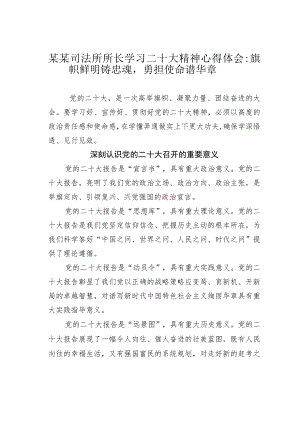 某某司法所所长学习二十大精神心得体会：旗帜鲜明铸忠魂勇担使命谱华章.docx