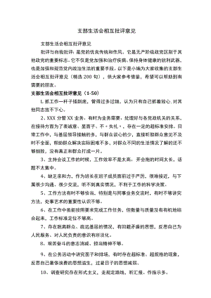 支部生活会相互批评意见（精选200句）.docx