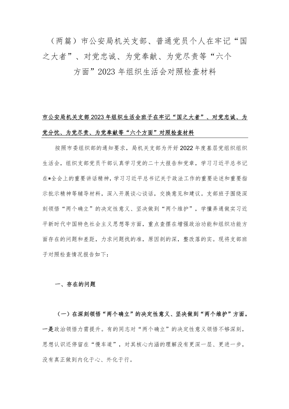 （两篇）市公安局机关支部、普通党员个人在牢记“国之大者”、对党忠诚、为党奉献、为党尽责等“六个方面”2023年组织生活会对照检查材料.docx_第1页