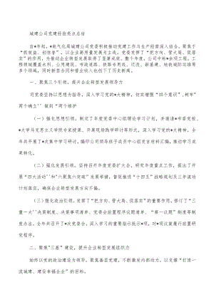 城建公司党建经验亮点总结.docx