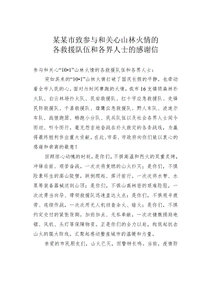 某某市致参与和关心山林火情的各救援队伍和各界人士的感谢信.docx