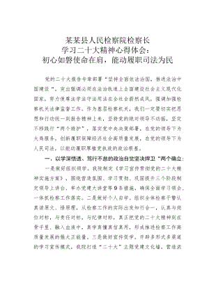 某某县人民检察院检察长学习二十大精神心得体会：初心如磐使命在肩能动履职司法为民.docx