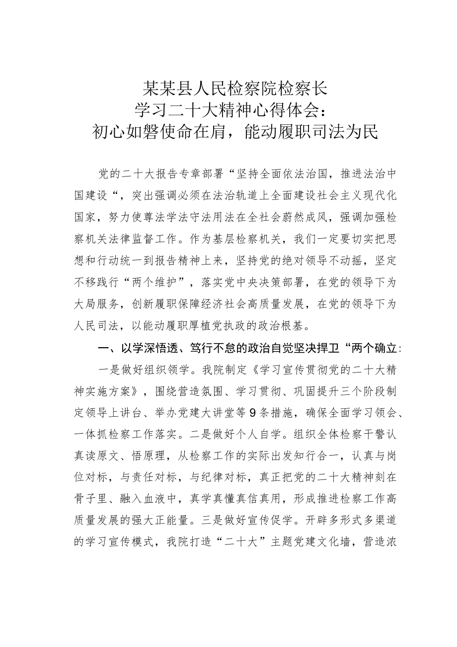 某某县人民检察院检察长学习二十大精神心得体会：初心如磐使命在肩能动履职司法为民.docx_第1页