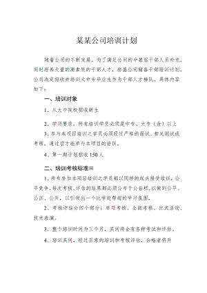 某某公司培训计划.docx