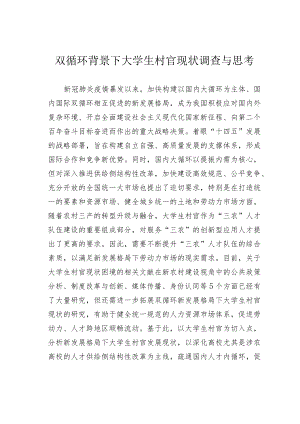 双循环背景下大学生村官现状调查与思考.docx