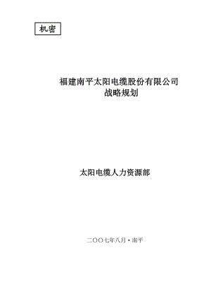 福建南平太阳电缆股份有限公司战略规划.doc