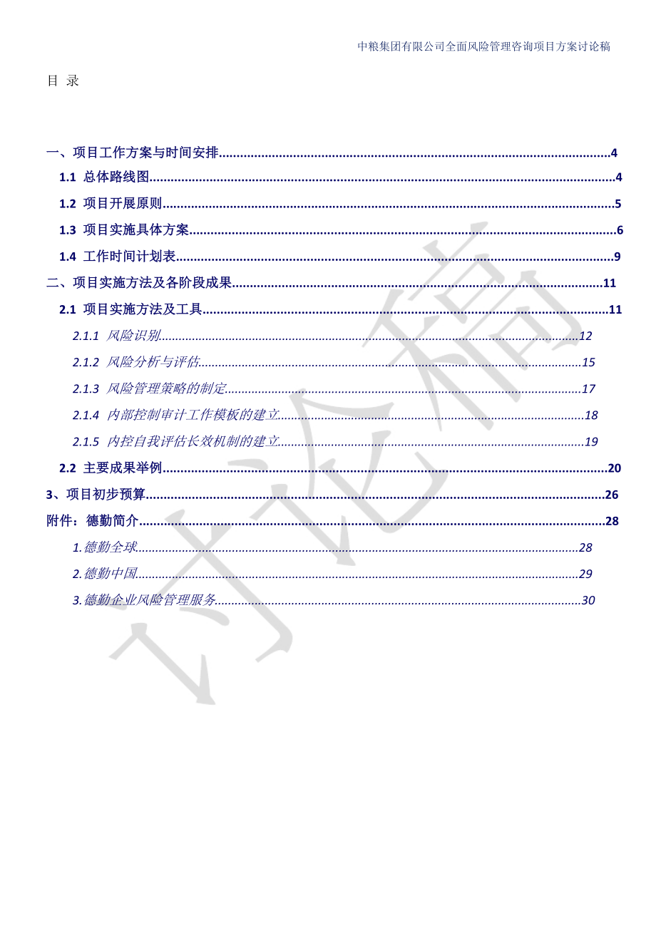 中粮集团全面风险管理项目实施方案初稿.doc_第2页