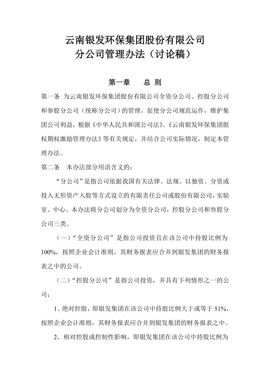 集团分公司管理办法.doc_第1页