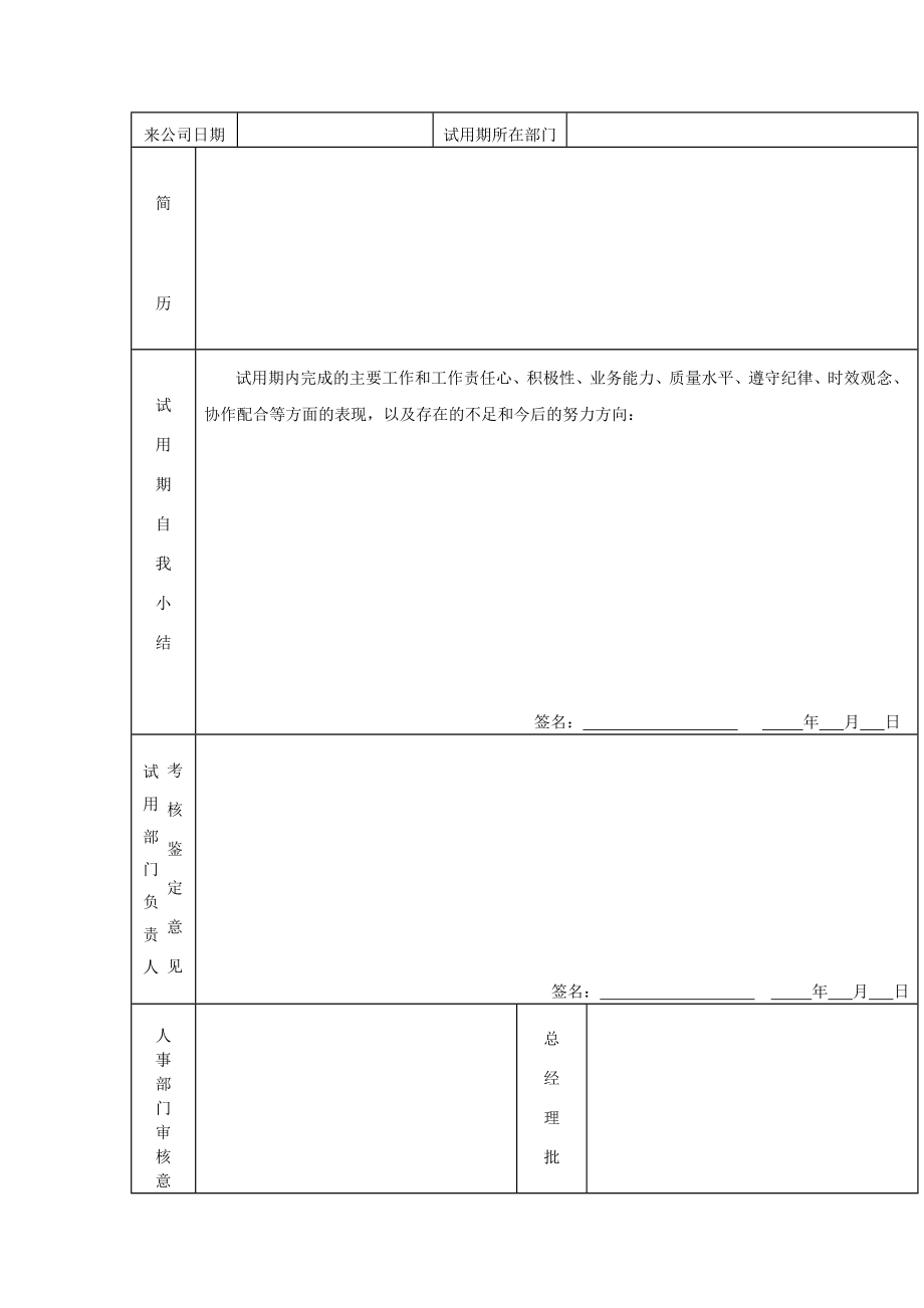 员工试用期考核表（表格模板、doc格式）.doc_第2页