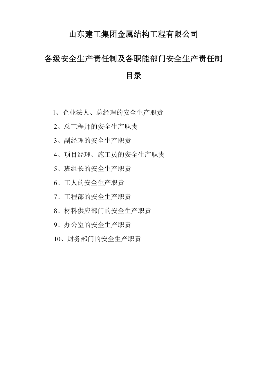 各级安全生产责任制及各职能部门安全生产责任制.doc_第2页