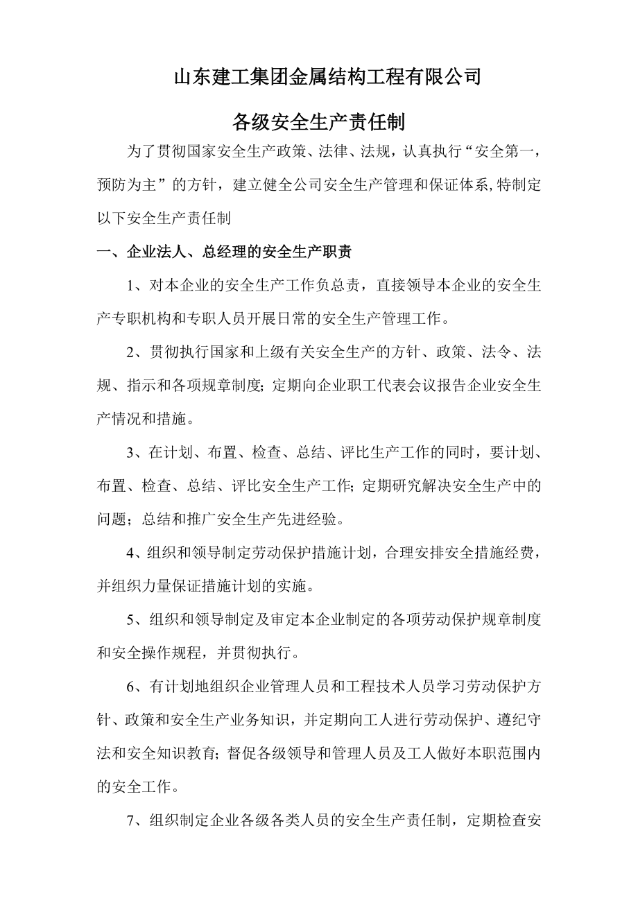 各级安全生产责任制及各职能部门安全生产责任制.doc_第3页