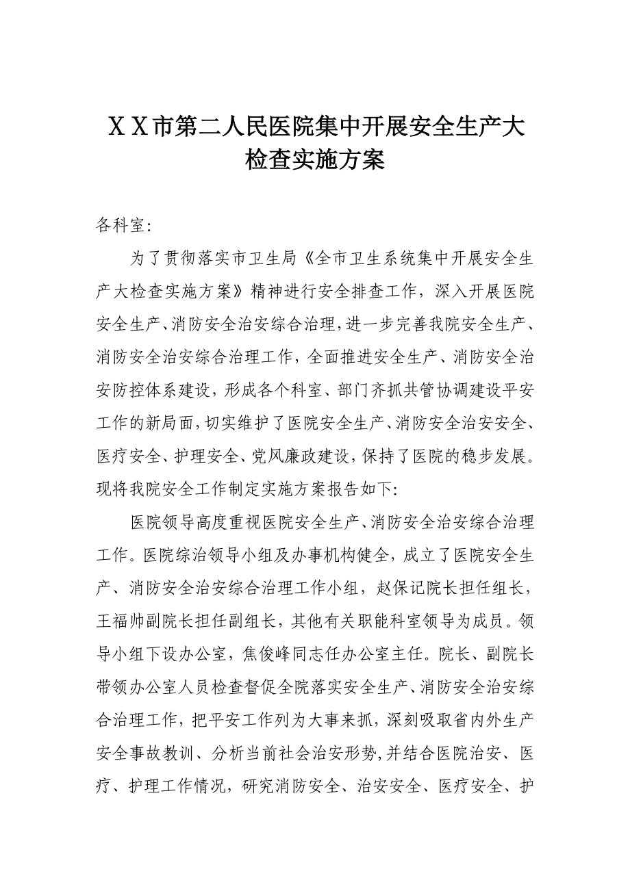 第二人民医院集中开展安全生产大检查实施方案.doc_第1页