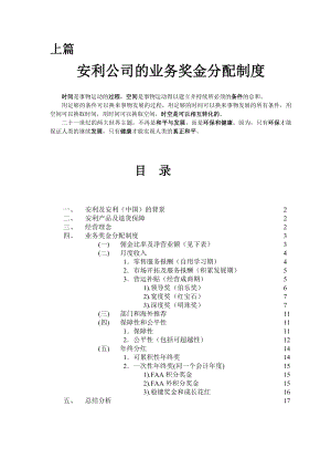 安利公司的业务奖金分配制度奖金制度结构图09.doc