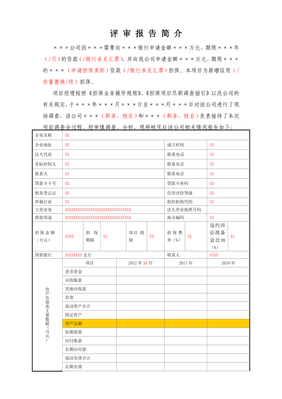 担保公司项目评审报告.doc_第2页